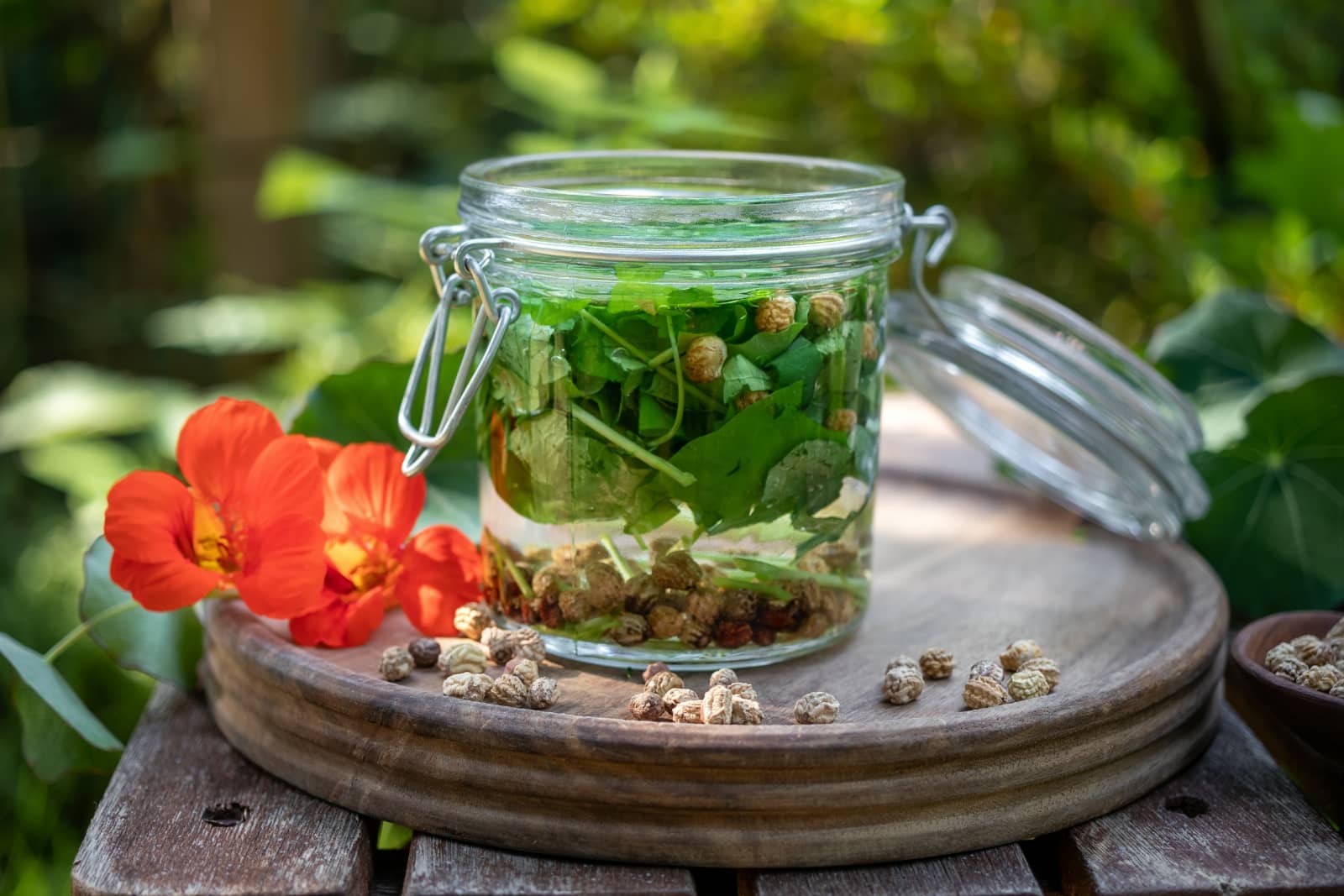 Lichořeřišnice větší - tinktura - Herbavis.cz